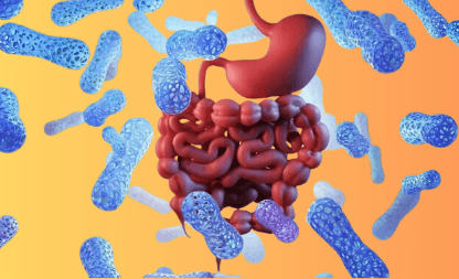 The Vitamin D Puzzle: Is Gut Microbiota the Missing Link?